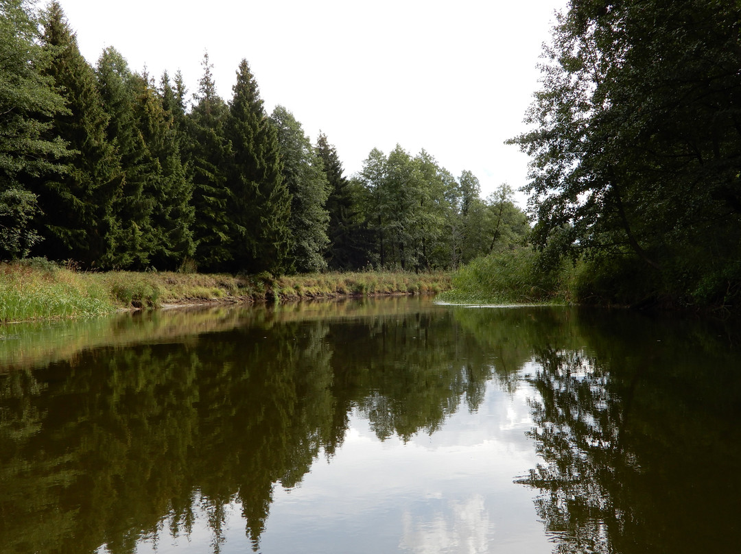 Pisz Forest景点图片