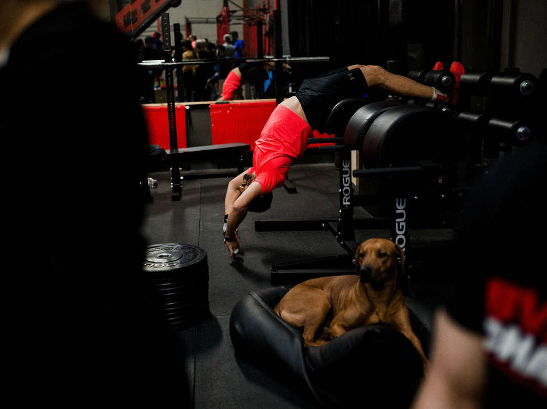 CrossFit Nord BVS-布加勒斯特必去景点