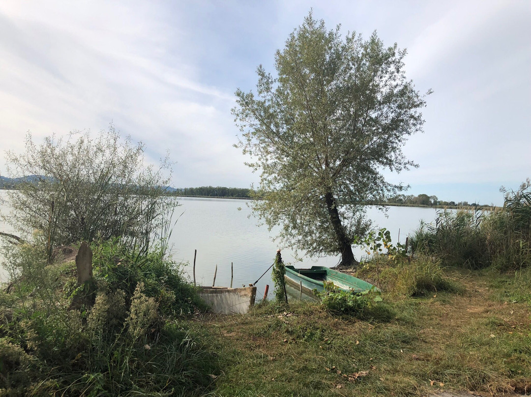 Riserva Naturale Lago di Montepulciano-蒙特普尔恰诺必去景点