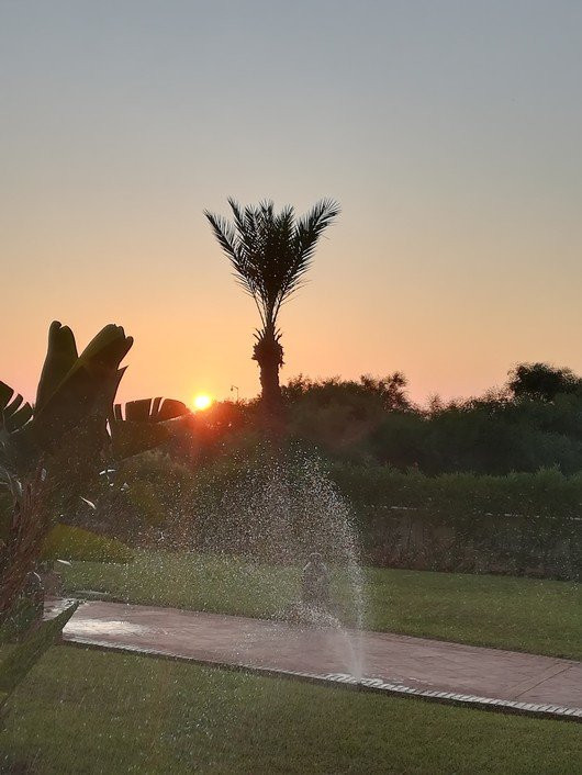 Be Live Collection Saïdia主图