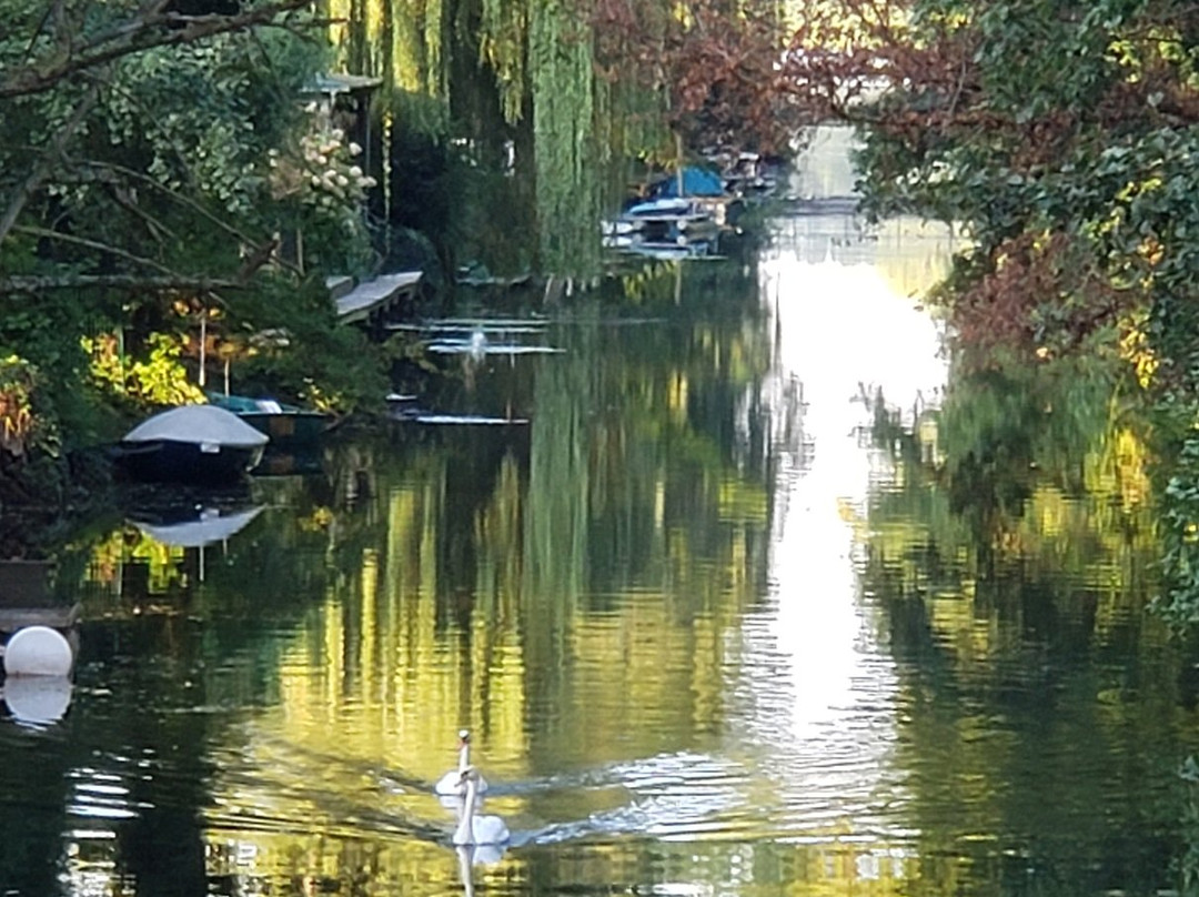 Schwanenbrücke-波茨坦必去景点