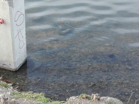 Laguna Chiquichano-Trelew必去景点