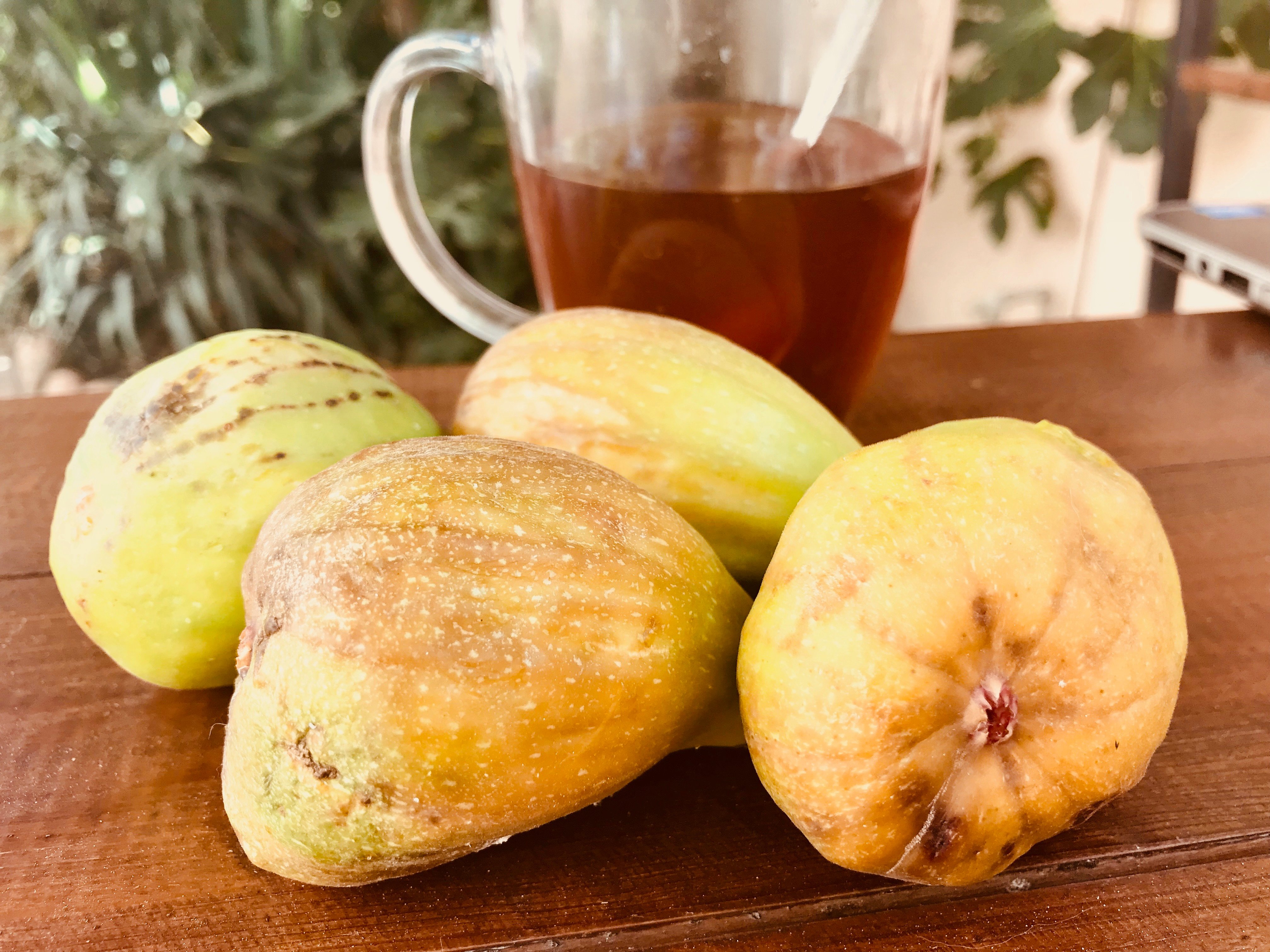 Edelweis Hotel-家庭/游戏区