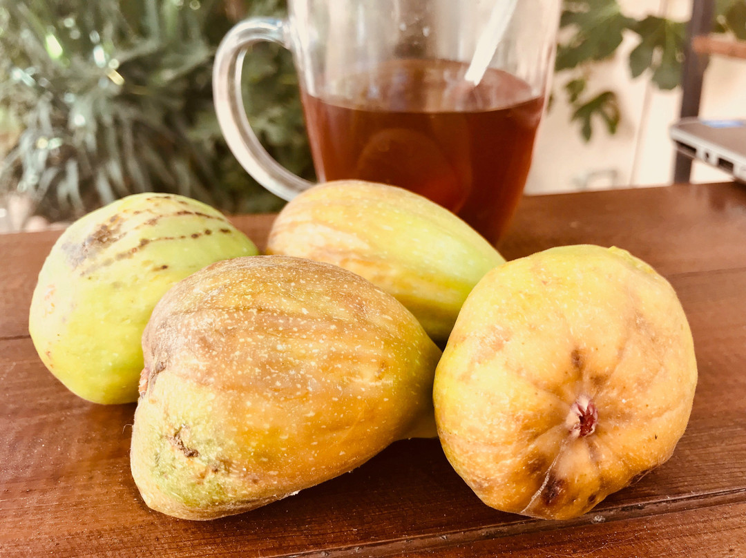 Edelweis Hotel主图