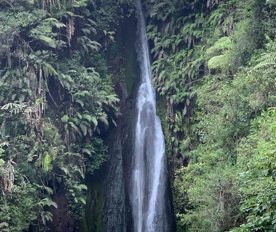 7 Air Terjun Sambangan景点图片