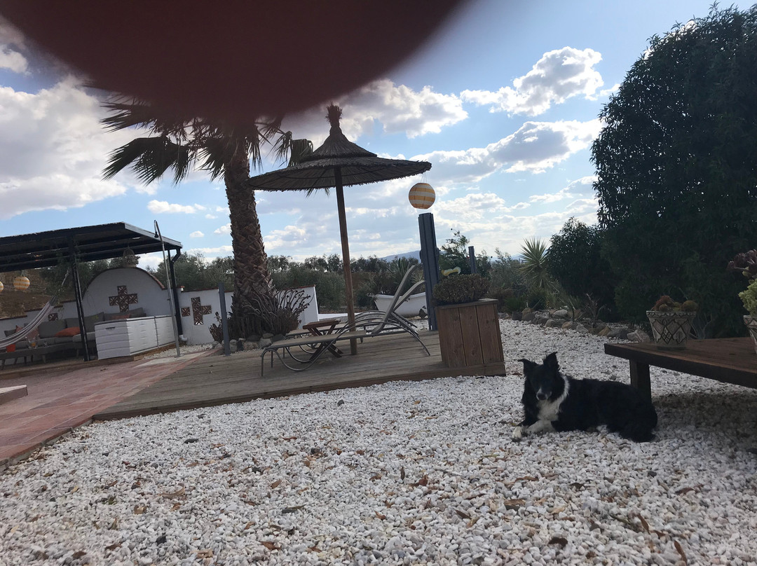 Casa Las Olivas主图