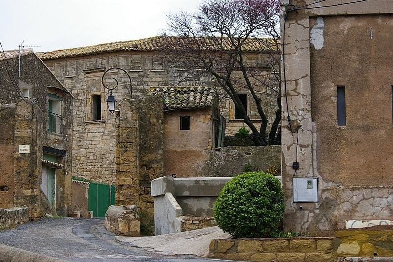 Chateau de Castelnau景点图片