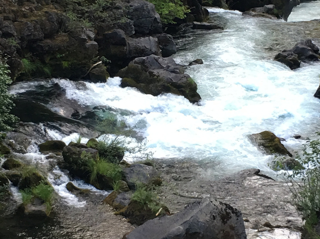 Natural Bridge Viewpoint-Prospect必去景点