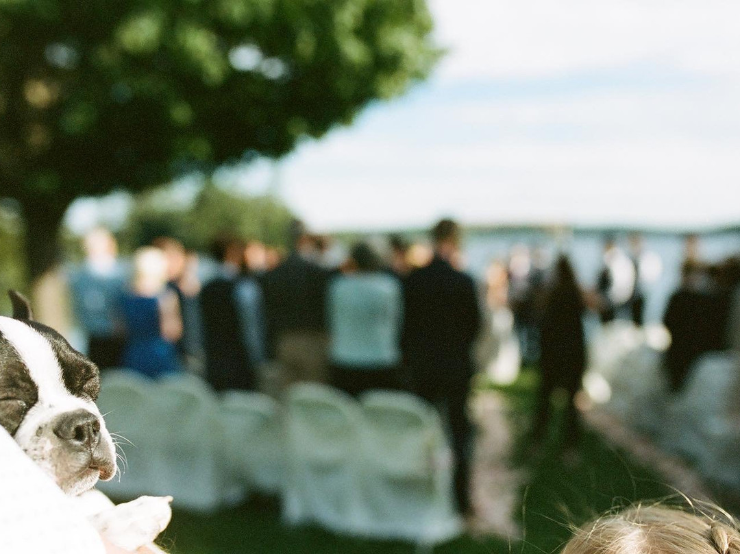 Alamoosook Lakeside Inn主图