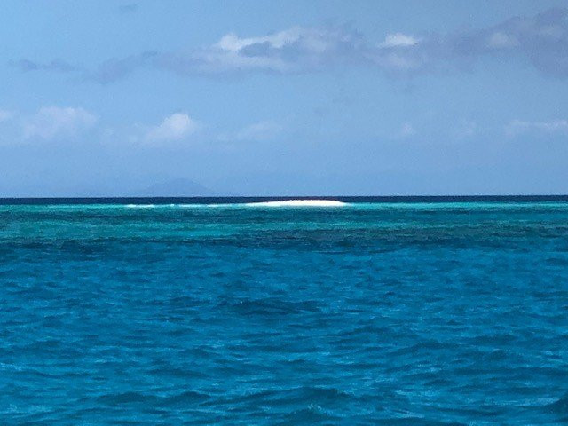 Mission Beach Dive景点图片