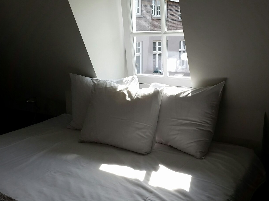 Boutique Hotel Nieuw Uilenburg主图