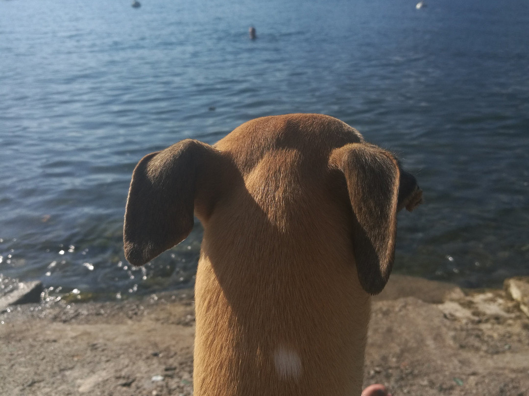 Spiaggia Bau Bau Olivedo景点图片