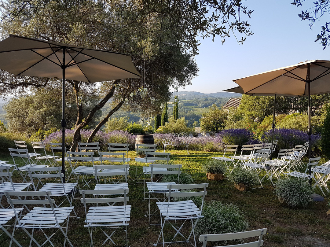 Domaine du Clos d'Hullias主图