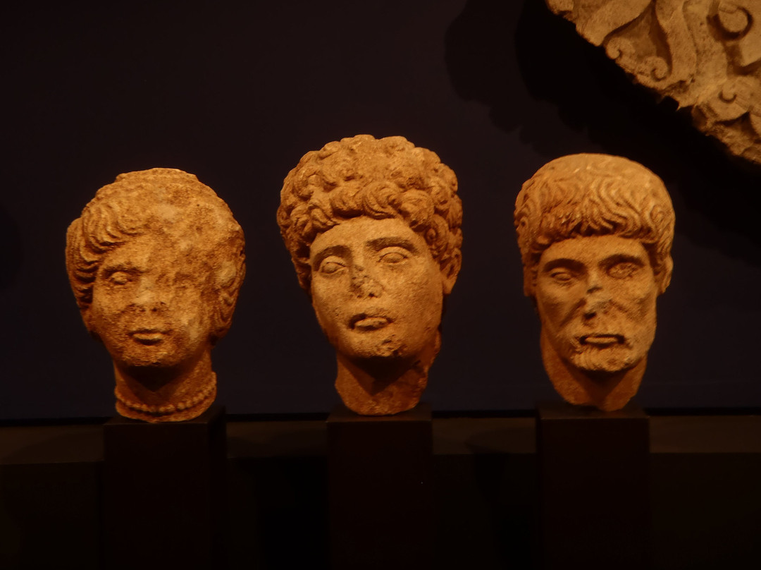 Musee du Pays Chatillonnais景点图片