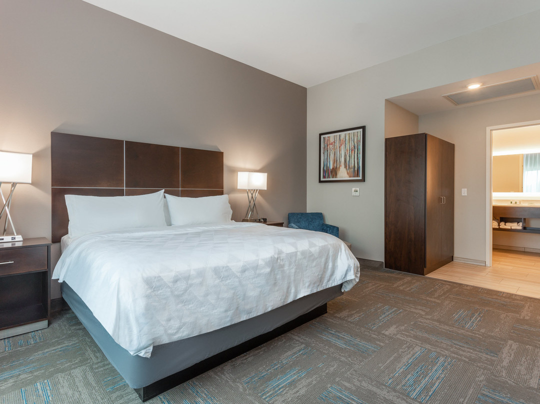 Holiday Inn & Suites Jefferson City By IHG主图