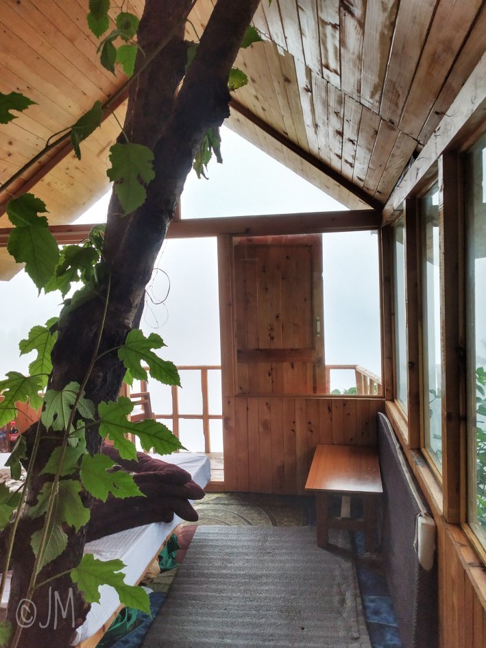 Jungle Book Home Stay-官方