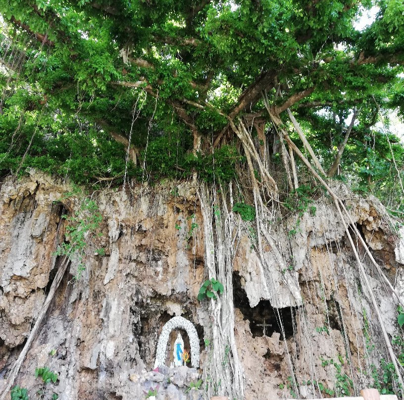 Our Lady of Lourdes Shrine景点图片