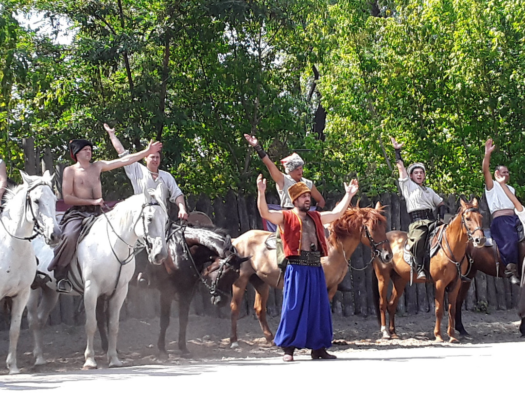 Horse Theatre Zaporizhzhya Cossacks景点图片