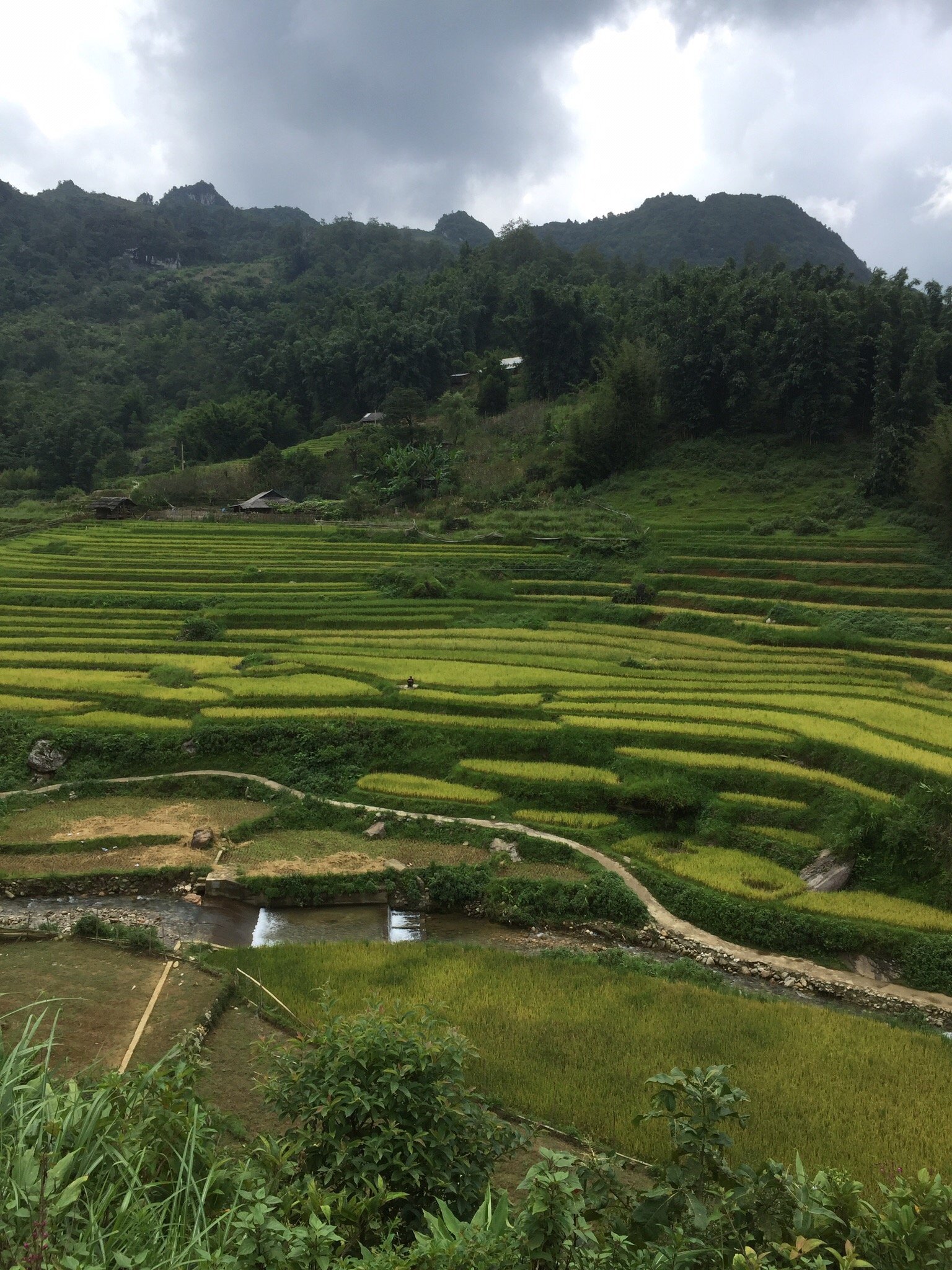 Sapa Ecologe-官方
