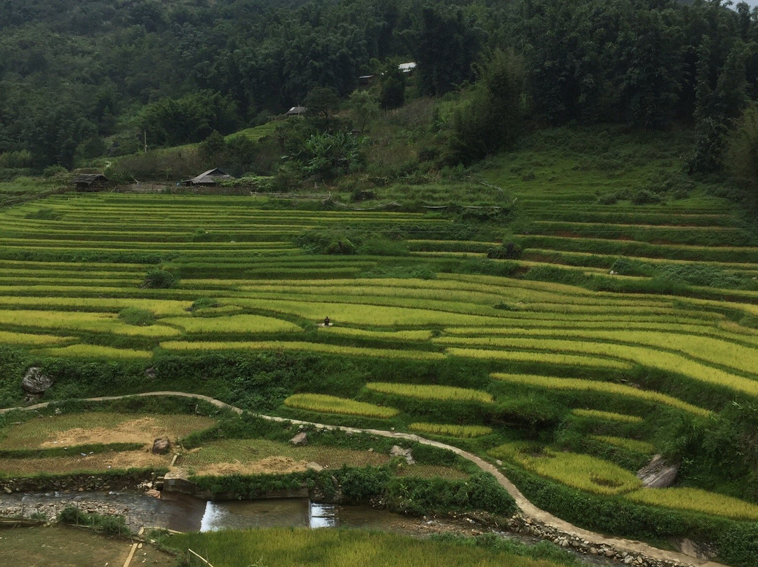 Nam Cang旅游攻略图片