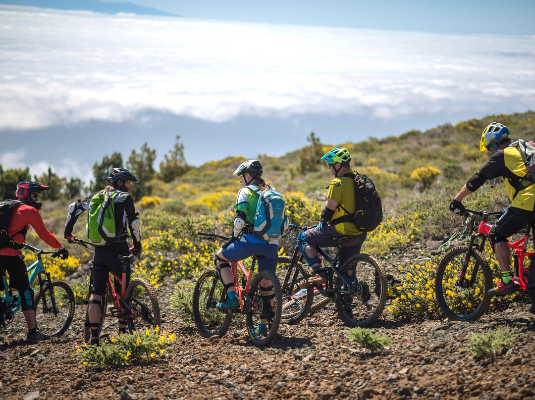 MountainRide La Palma-La Palma必去景点