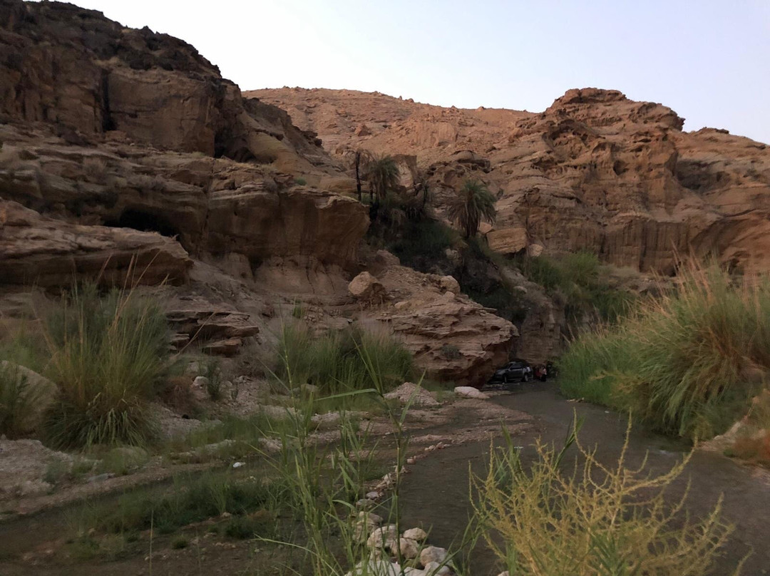 Wadi Bin Hammad景点图片