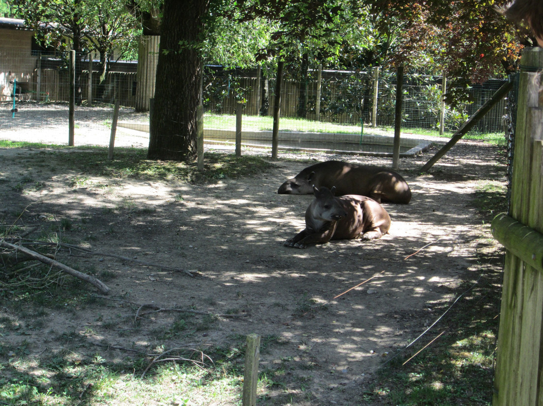 Parco Zoo Punta Verde景点图片