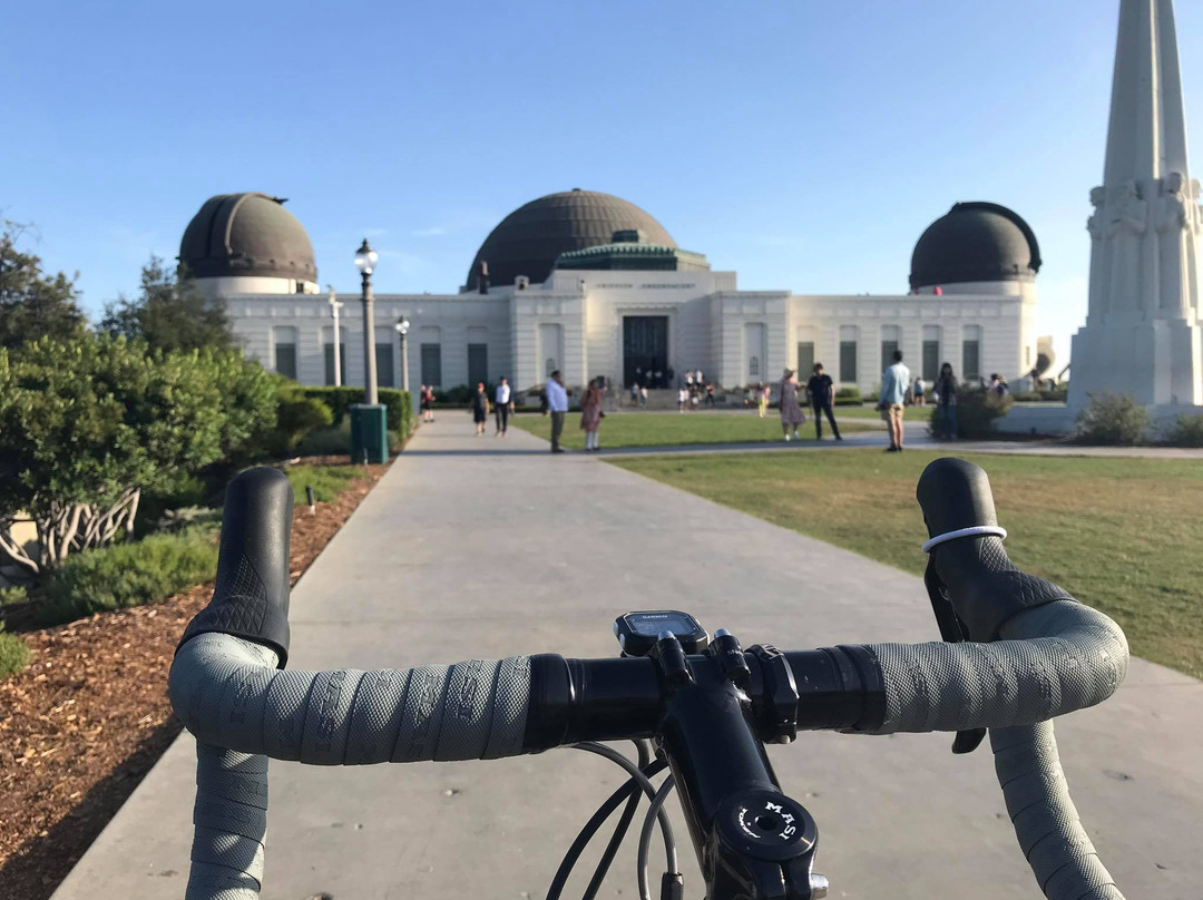 Synaptic Cycles Bicycle Rentals-德纳角必去景点