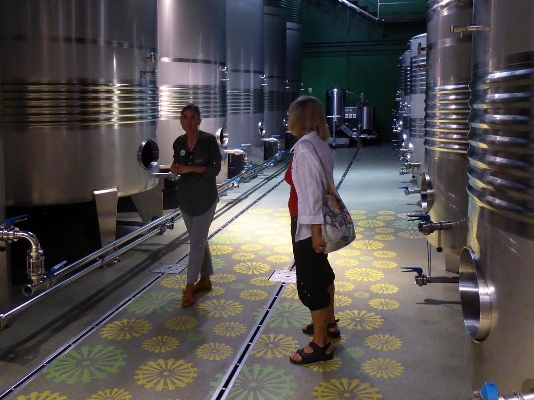 Bodegas Terras Gauda景点图片