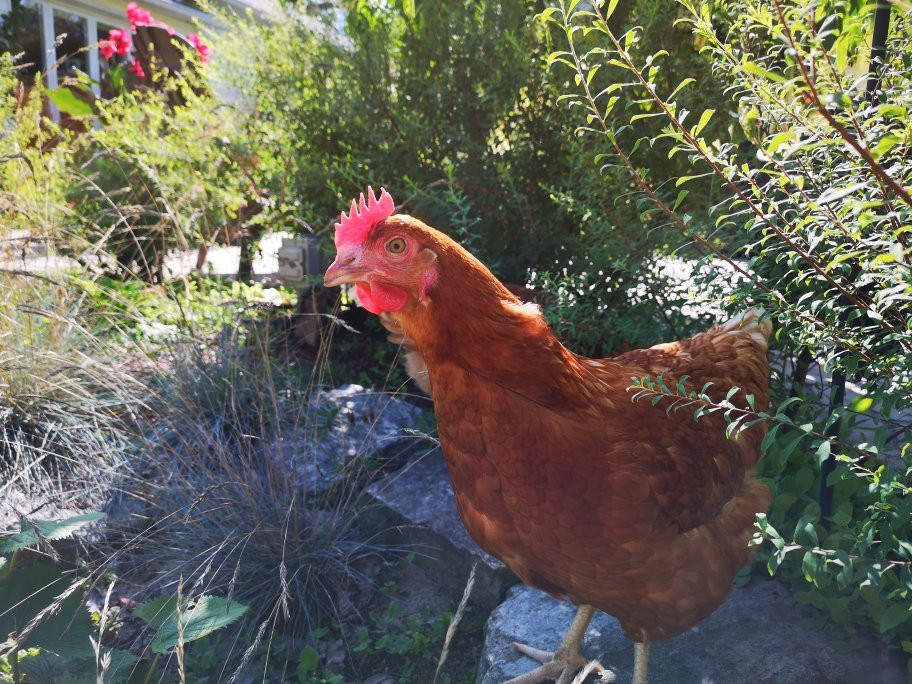 Gite Le Grandelinois主图