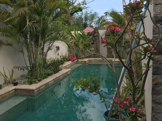 DHM Surf Camp-Kuta必去景点