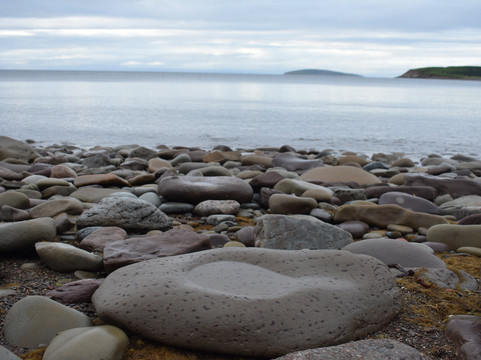 Broad Cove Marsh旅游攻略图片