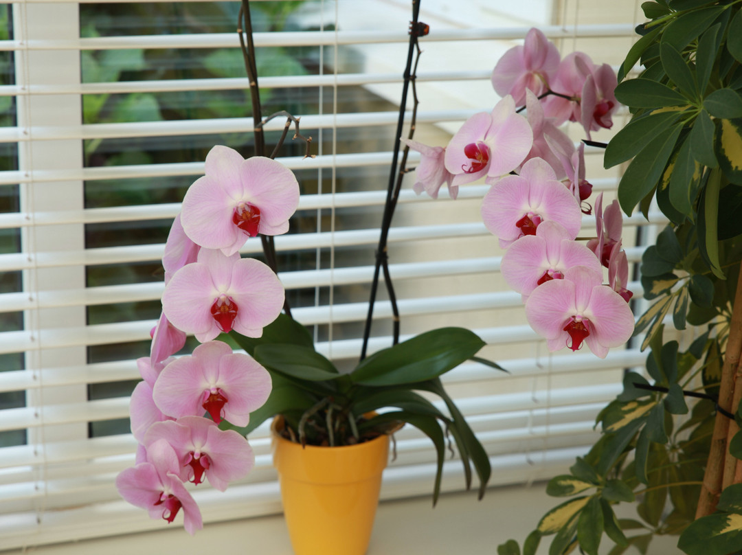 溪流庄园酒店主图