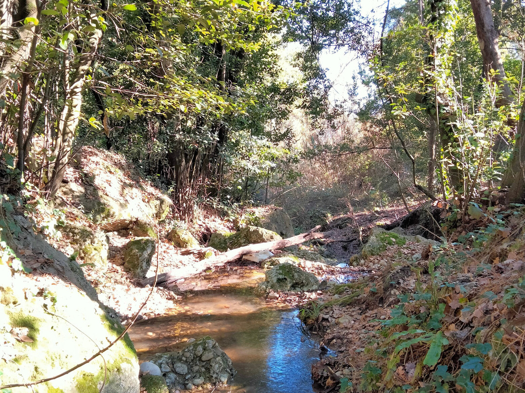 Riserva Naturale Guidata Grotta delle Farfalle景点图片