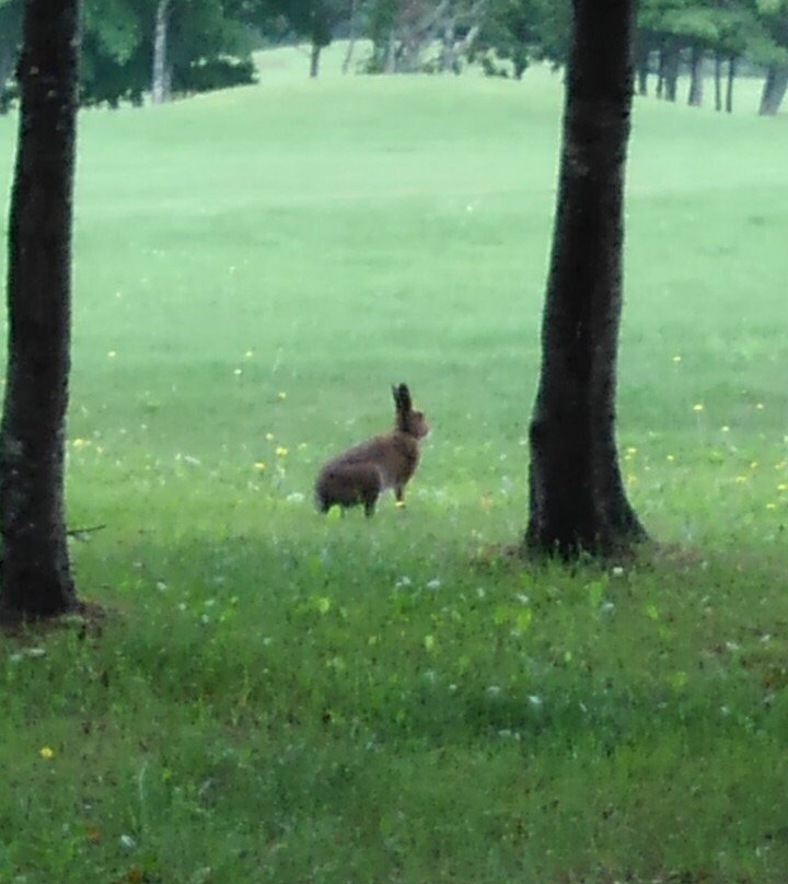 North Valley Country Club-稚内市必去景点