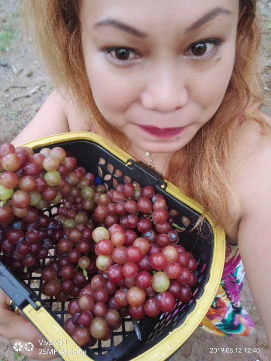 Gapuz Grapes Farm-San Fernando La Union必去景点