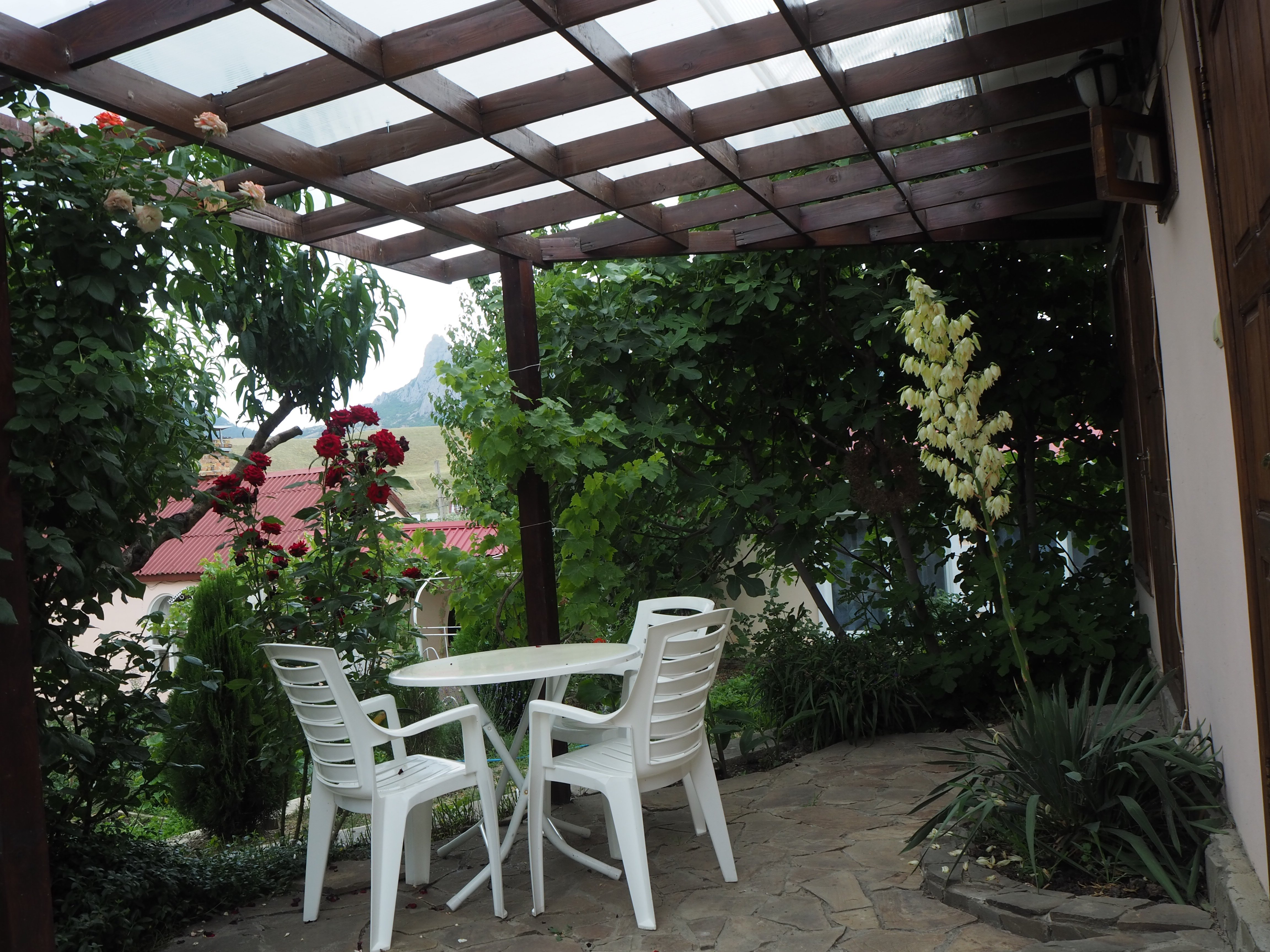 Polynny Guest House-官方