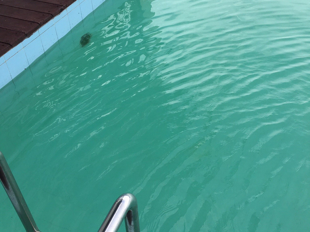 Tiara Bunga Hotel & Villa主图