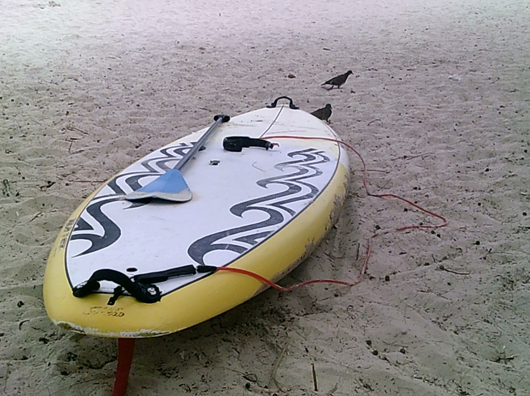 Paddle Barbados-布里奇顿必去景点