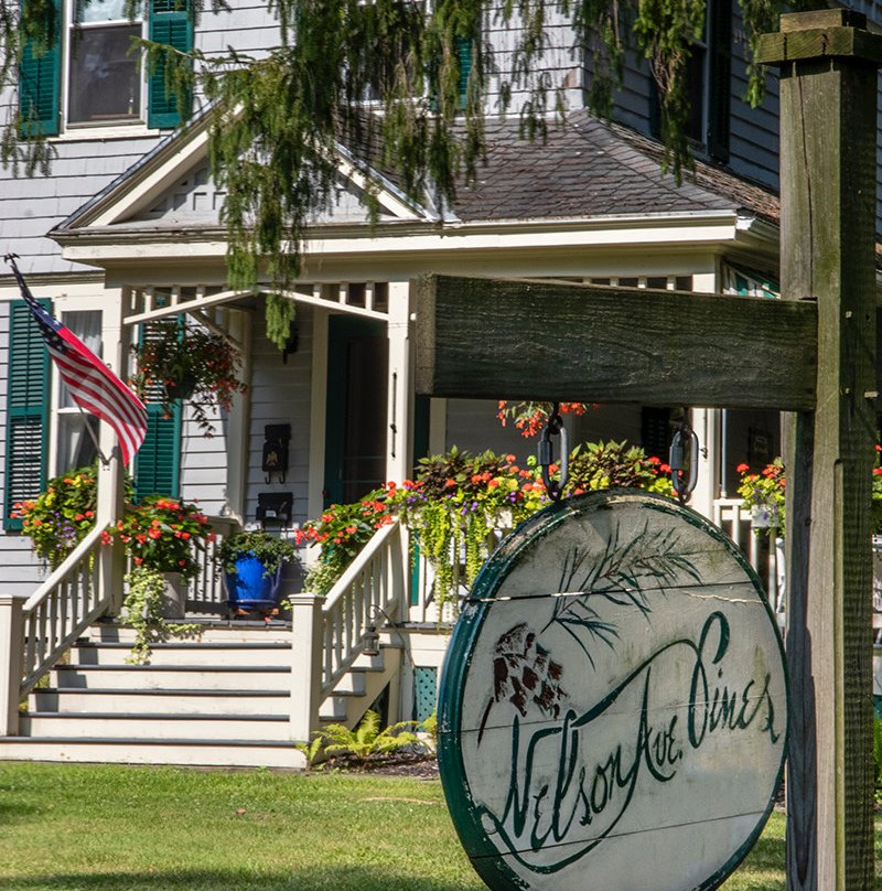 Nelson Avenue Pines主图