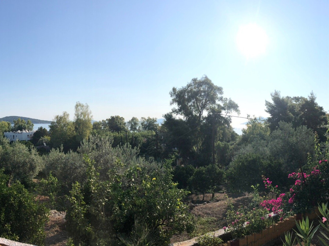 Maria Apartments Studios Epidavros主图