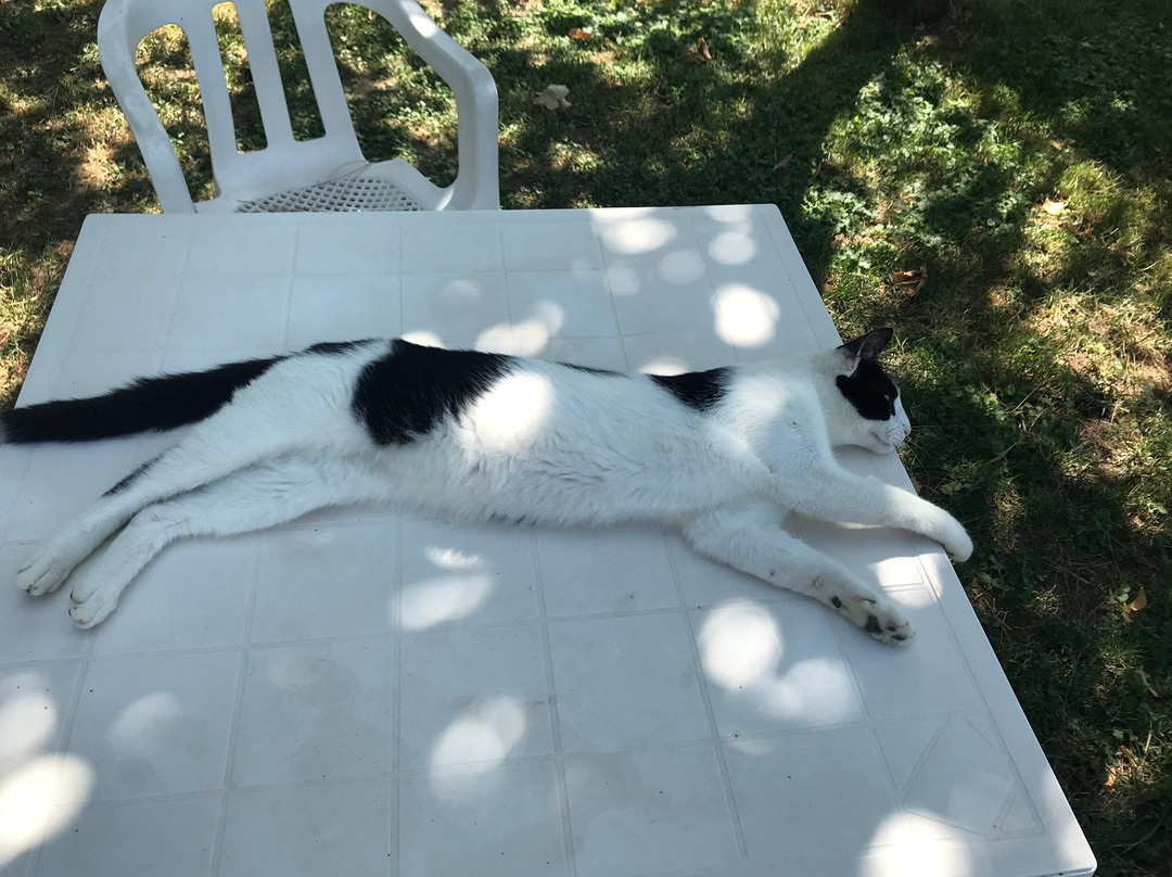 La Ciminiera Country House主图