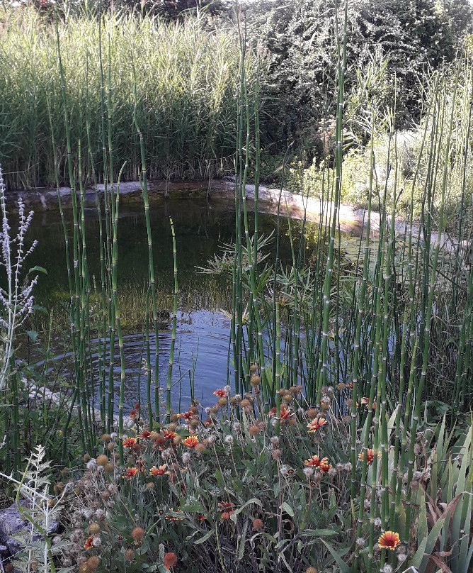 La Ferme du Safran