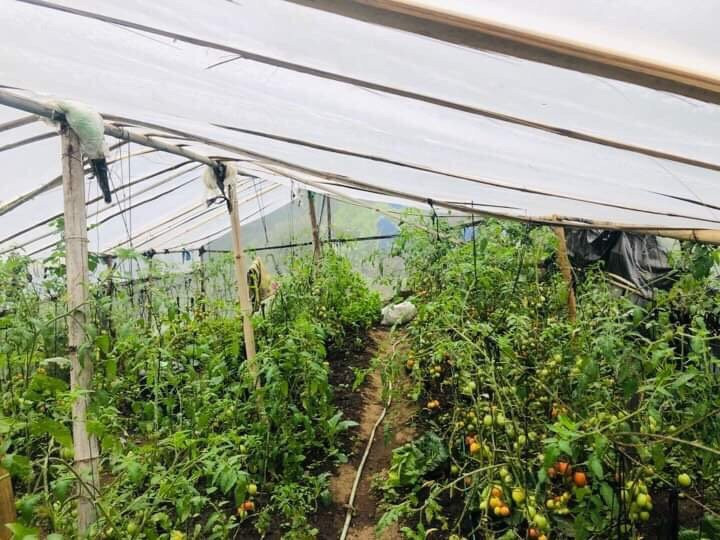 Paldor Peak Guest House主图