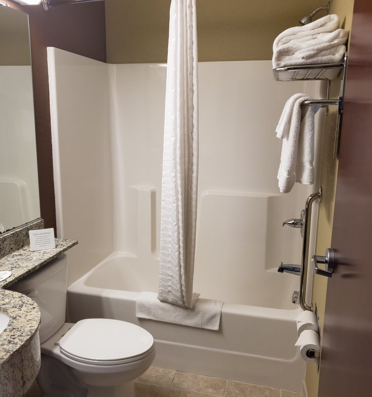 Microtel Inn & Suites by Wyndham Carrollton主图