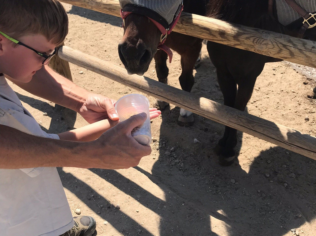 Babby Farms-Caldwell必去景点