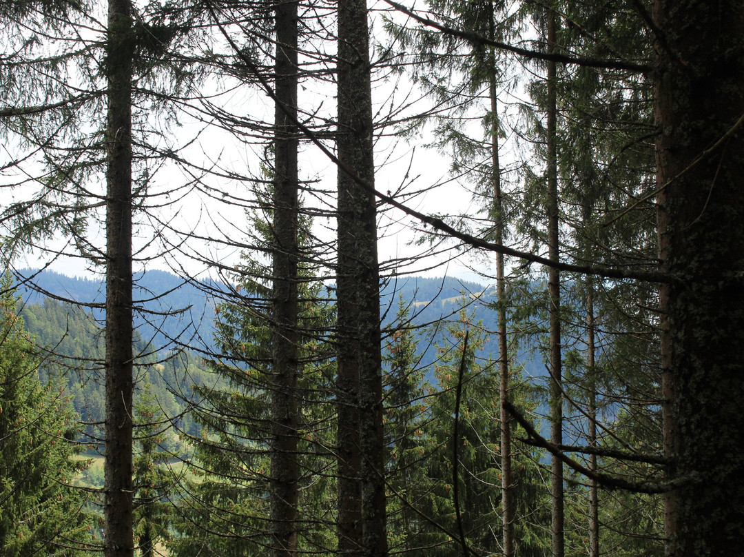 Entre Terre Et Ciel主图