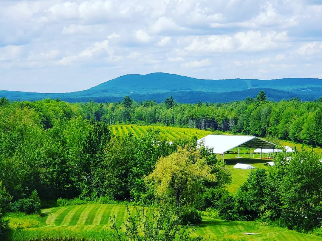 Bull on the Run Tours-罗克兰必去景点