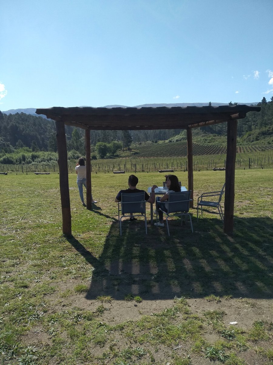 Estancia Las Canitas-portrait
