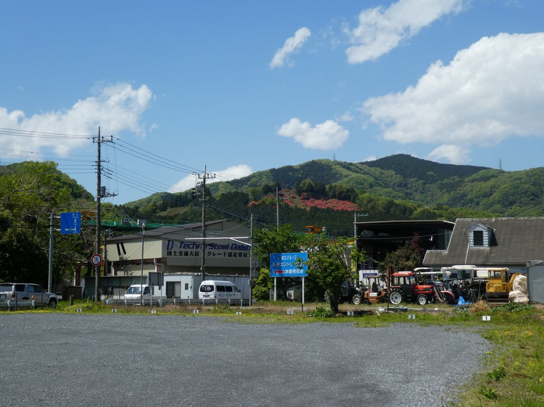 Kanaoyama Tsutsuji Park景点图片